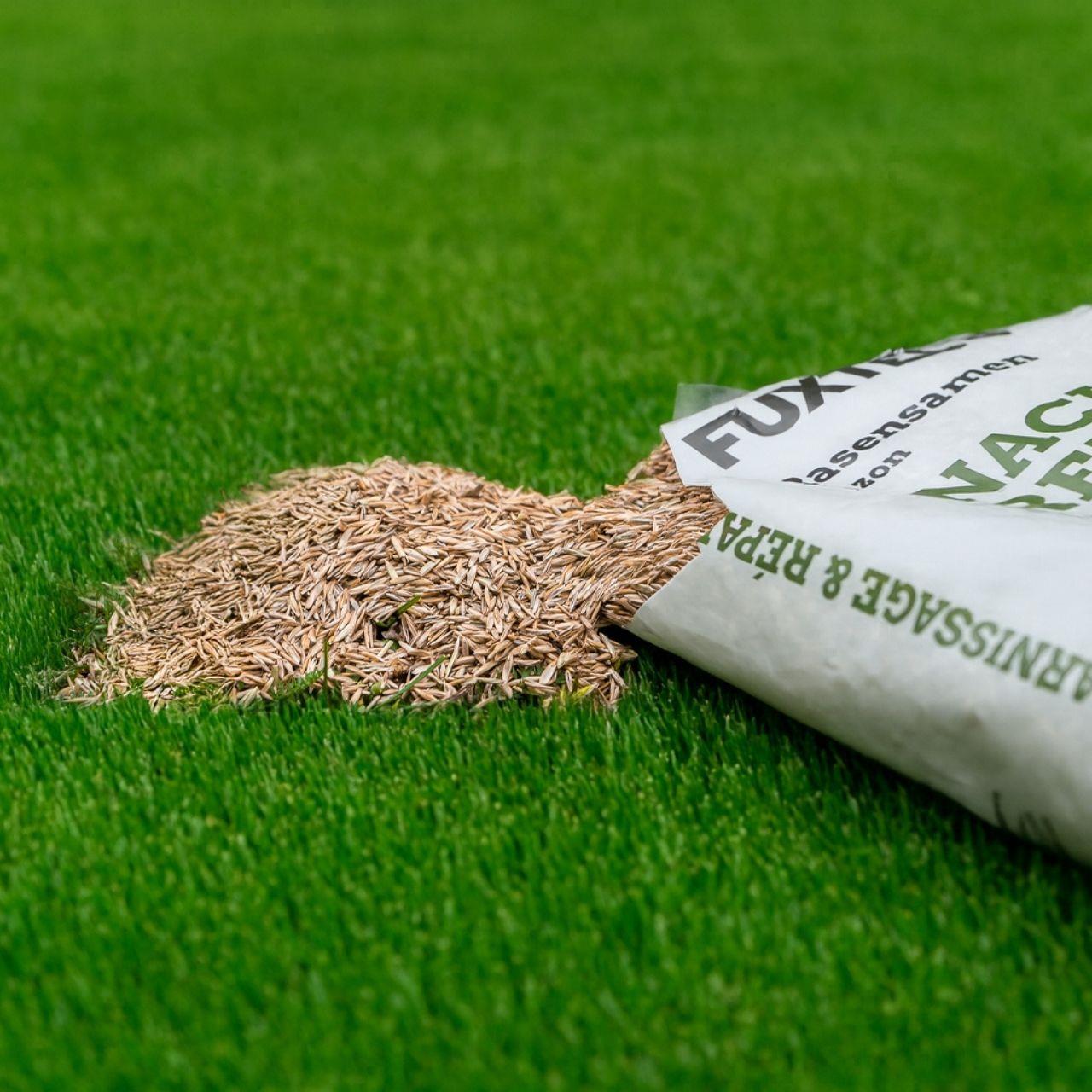 FUXTEC gazonzaad FX-RSNR1 herinzaai & reparatie