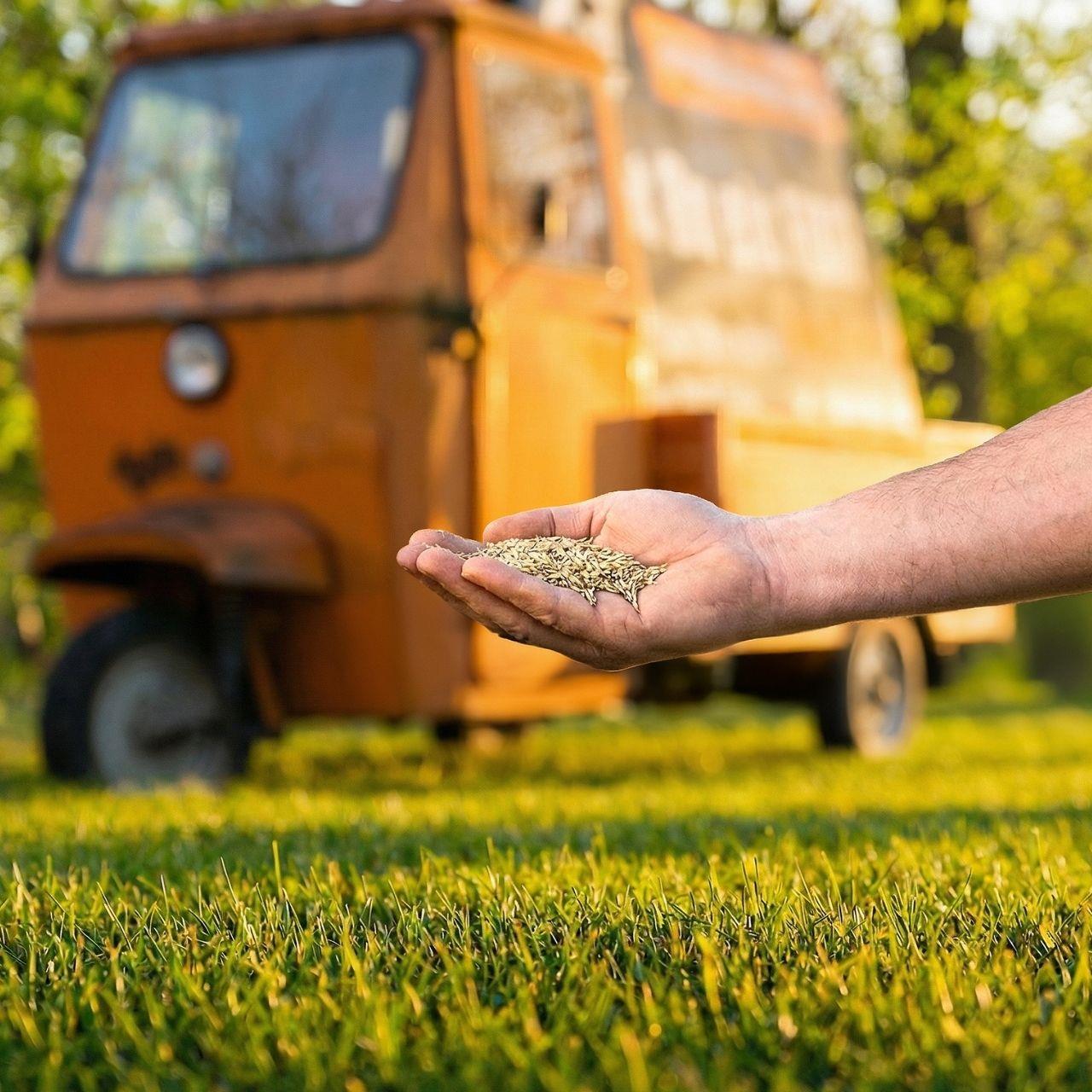 FUXTEC gazonzaad FX-RSSP5 5kg speel- & sportgras